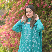 FIROZI - 2 PC Hand Embroidered Chiffon Set