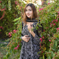 FALAK - 2 PC Hand Embroidered Chiffon Set