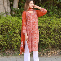 MEHR - 2 PC Hand Embroidered Chiffon Set