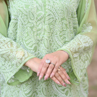 HARRA BHARRA - Hand Embroidered Green Chiffon Shirt